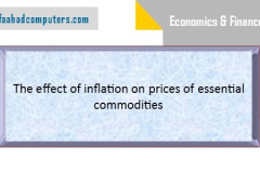 The-effect-of-inflation-on-prices-of-essential-commodities