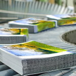 image_2024-09-26_181527536